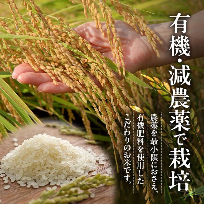 特別寄附額 米 令和7年産 有機 ・ 減農薬栽培米 キヌヒカリ 白米 10kg（5kg×2） 数量限定 お米 精米 単一品種 単一原料米 国産 兵庫県産