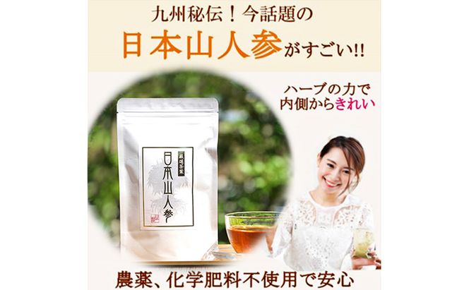 ★希少★日本山人参で健康に！1か月分セット！ 飲料類 お茶 野菜/人参 