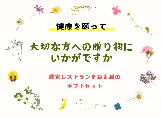 【一週間以内に発送】〈ギフト〉ジャム&ドレッシングセット【アグリCATS】_HA1847