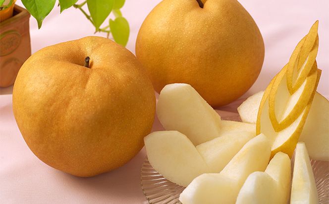 フルーツ 2026年 先行予約 4回お届け便！  環山堂 セレクト 晴れの国 おかやま より 果物 を旬な時期に4回に分けてお届け！ 桃 葡萄 梨 岡山県産 国産 果物 セット ギフト 