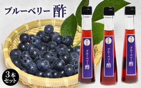 ブルーベリー酢 3本セット 北海道 南富良野町 ブルーベリー ベリー 酢 調味料 セット 詰合せ ドレッシング ソース たれ ブルーベリー酢 
