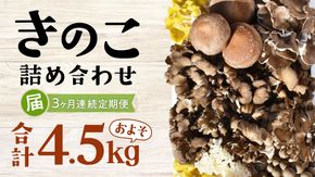 【 3ヶ月連続定期便 】きのこ の詰め合わせ Mサイズ ( 約1.5kg ) （茨城県共通返礼品：城里町） キノコ セット 野菜 低カロリー ダイエット デトックス バラエティ セット 新鮮 [DY006us]