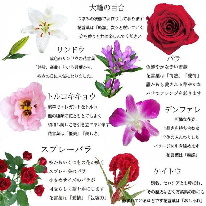 《敬老の日》フラワーアレンジメント 紅色グレイス＜出荷開始：～9/21までのお届け 当店おまかせ＞【 花 お祝い お礼 贈り物 メッセージカード 祖母 祖父 ギフト プレゼント 送料無料 ふるさと納税 門真市】 272230_BG078