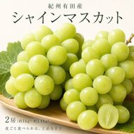 紀州有田産シャインマスカット２房（約1kg〜1.4kg）【先行予約】【2026年8月下旬以降発送予定】AN050