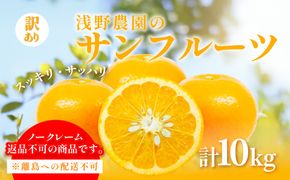 【先行予約】【訳あり】浅野農園のサンフルーツ 計10kg ※離島への配送不可（2027年3月中旬頃より順次発送予定）IKTAC011