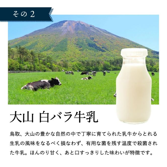 【タズミの卵使用】福来呂風凛（ふくろうぷりん）2個入り×2箱　007DA001N.／ プリン 鳥取県産 大山「白バラ牛乳 純生クリーム」市川町の「タズミの卵」使用 