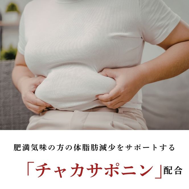 茶花青汁スッキリッチ 3箱 ダイエット 体脂肪 筋力 ウエスト 乳酸菌 健康食品 野菜