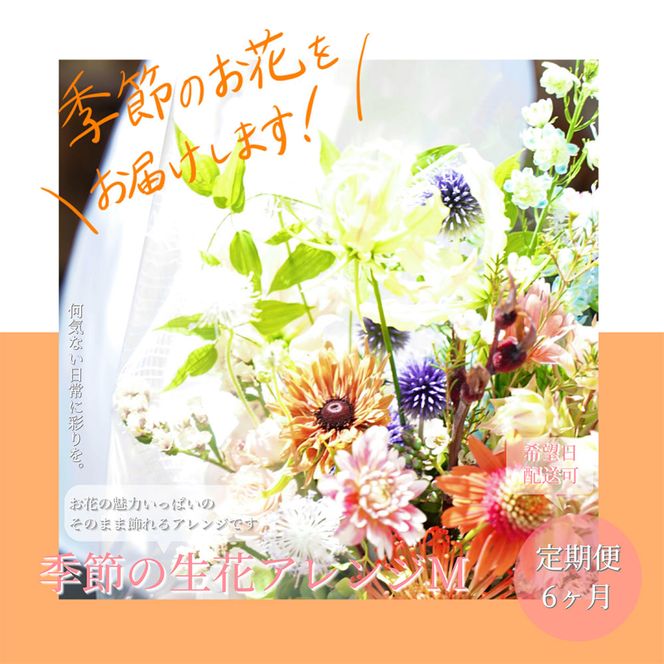 【CF-R7hbk】t161tmf　《6ヵ月定期便》おすすめ生花アレンジメントM 定期便 定期コース 全6回 フラワーアレンジメント そのまま飾れる 生花 花束 花 お花 おすすめ 可愛い キレイ おしゃれ 季節のお花 供花 お供え
