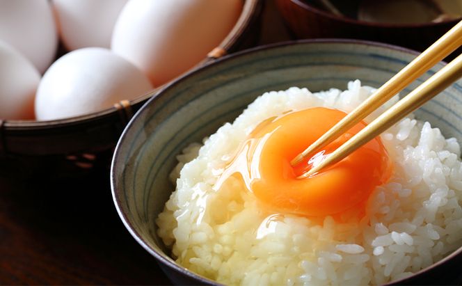 【令和7年産】【産地直送】特別栽培米 宮津産丹後コシヒカリ「つやっ娘」5kg 〈2025年10月以降順次発送〉 お米