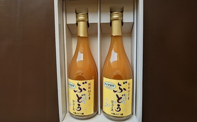 ぶどうジュース （ナイアガラ） 750ml×2本 【2489】