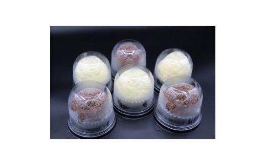 復刻版バフンケーキ　加美町名産　『加美ショコラ』　2種×各3個　(計6個入り) [やくらい土産センター 宮城県 加美町 44581293] 