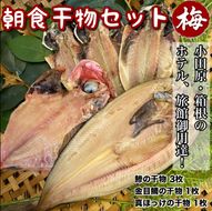 104-2751 小田原、箱根の旅館、ホテル御用達！朝食干物セット 梅【 まぐろや 神奈川県小田原市 】
