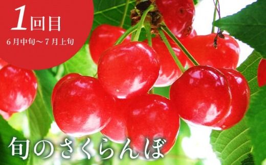 ［年5回定期便］ 小布施町の人気フルーツ定期便 年5回コース ［小布施屋］定期便 頒布会 フルーツ 果物 長野県産 令和7年産 【2025年6月中旬～2026年2月発送】［E-8］
