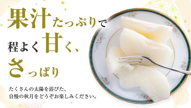 【 2026年9月上旬発送開始 】 茨城県産 梨 秋月 （約 5kg ） 10～14玉 フルーツ 果物 なし ナシ 旬 新鮮 期間限定 甘い 国産 先行予約 [CL004us]