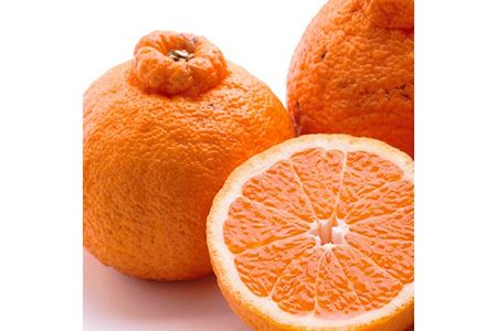 ＜2月より発送＞厳選 不知火10kg+250g（傷み補償分）【デコポンと同品種・人気の春みかん】