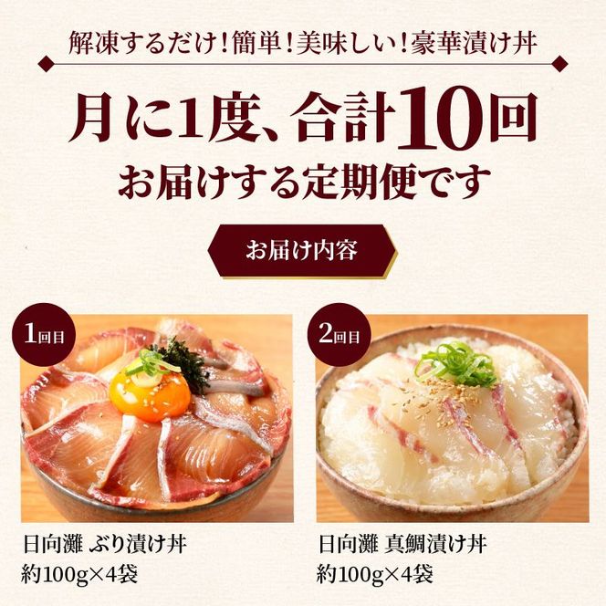 お魚の漬け丼バラエティ10回定期便 N019-YG0190