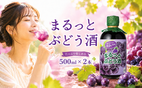 まるっとぶどう酒 500ml 2本 ぶどう グレープ フルーツ フルーツリキュール 酒 おさけ お酒 sake 女子会 リキュール 土佐 すっきり ギフト 父の日 パーティ 贈り物 菊水酒造 高知県 安芸市