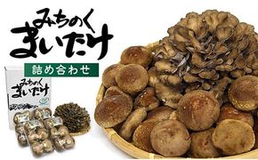 最上町産みちのくまいたけと椎茸セット