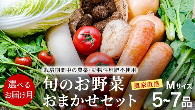  ＼ 選べるお届け月／  農家直送 旬のお野菜 おまかせセット  野菜セット 野菜 旬 詰め合わせ やさい おまかせ 自然 春野菜 夏野菜 セット 季節 新鮮 旬 農家直送