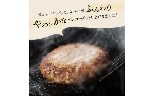 【発送月が選べる！】さんきょうみらい豚 ”ふんわりやわらか” ハンバーグセット(90g×11P、ソース200g付) 【 豚肉 国産 肉 豚 おかず 惣菜 ハンバーグ 】 [D00101]