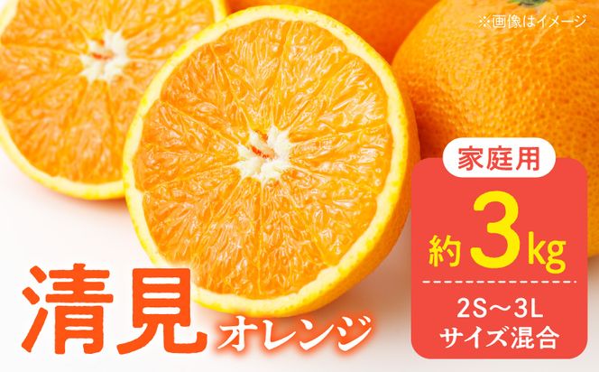 DZ6226_訳あり 家庭用 きよみ 清見オレンジ 和歌山 有田 2S～3Lサイズ混合 3kg