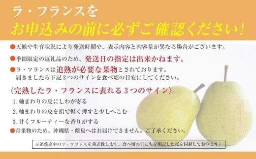 【2026年発送分 先行予約】 ラ・フランス ３～５玉 (約1.5kg) ※2026年10月中旬以降発送予定　洋ナシ 洋梨 フルーツ 果物 富士川町