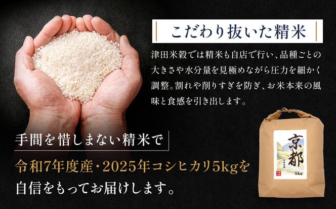 【津田米穀】五つ星お米マイスター監修 藤野さんが育てたコシヒカリ 5kg｜令和7年度産コシヒカリ 白米 こだわり抜いた精米 人気［ コシヒカリ お米本来の風味と食感 おすすめ グルメ おいしい コメ お取り寄せ 通販 送料無料 ふるさと納税 ］ 261009_A-AAE014