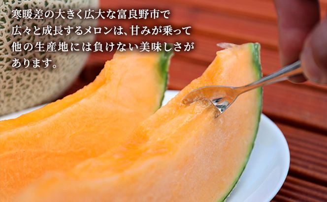 【2026年6月発送】富良野 メロン『NORTH PREMIUM』1玉 約2kg以上 フルーツ 果物