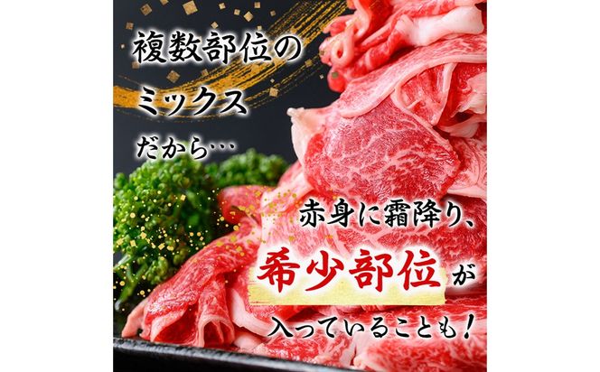 【緊急支援品】【訳あり】黒毛和牛万能切り落とし肉 計1kg（500g×2P）a2-141