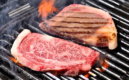 【4等級以上】厳選 近江牛 リブロースステーキ 【500ｇ（250g × 2枚）】【BS04W】