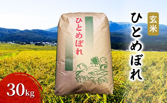 玄米 ひとめぼれ 30kg お米 米 こめ コメ 令和7年産 秋田県 にかほ市