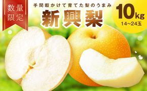 【先行予約／数量限定30】新興梨 10kg（2026年10月中旬～発送） FK00031