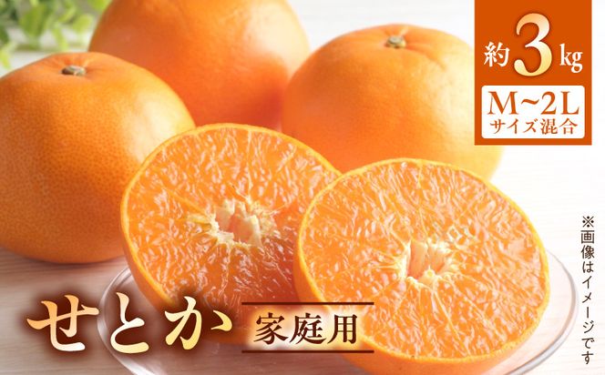 BF6047n_【2027年先行受付】せとか 家庭用 3kg М～2Lサイズ 混合