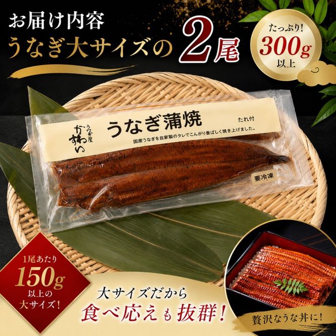 国産うなぎ  蒲焼き 大サイズ 2尾セット(合計300g) タレ付き 国産 うなぎ ウナギ 鰻 蒲焼 かば焼き 2尾 セット 惣菜 冷凍