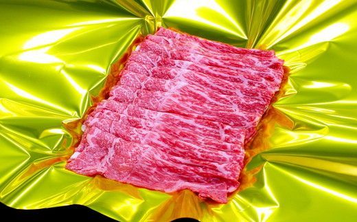 松阪牛赤身定期便（～７月受付・８月から毎月発送）【9-14】