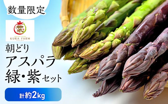【2026年5月より発送】北海道 富良野市産 アスパラ緑(LMサイズ混合)・紫(LMサイズ混合 )  計約2kg セット 食べ比べ 朝どり 露地 アスパラガス 詰め合わせ 野菜 新鮮 数量限定 先着順【藏ファーム】