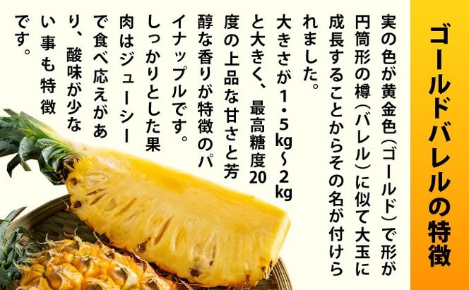 【先行予約2026年5月下旬ころから順次発送】最高糖度20度！？石垣島産完熟ゴールドバレル 2玉 約2.5kg