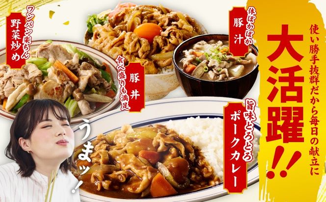 mrz0248 国産 豚肉 もも スライス 2.7kg 小分け 300g×9P【氷温熟成×極味付け 豚 小分け 普段使い 野菜炒め】