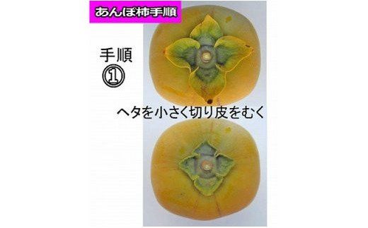 甘さが違う！とっても甘くなる生渋柿（平たねなし柿）あんぽ柿用 T軸枝無  約4.5～5kg　約24～30個＜2026年10月中旬～11月上旬ごろ順次発送＞-AP【art003B】