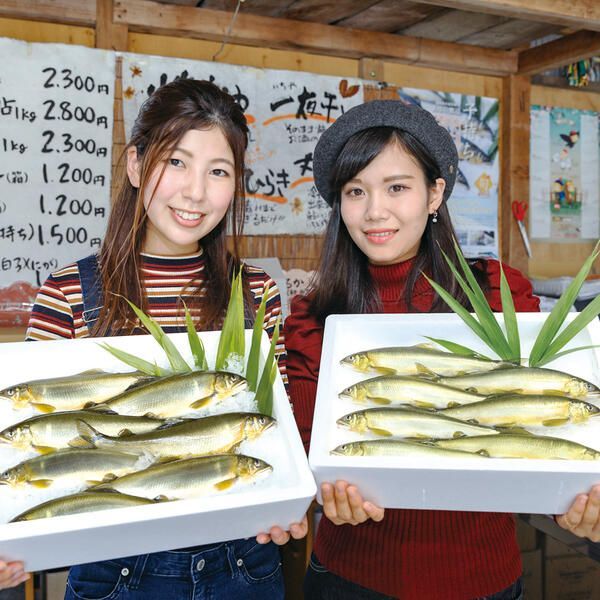 若鮎3.1㎏【冷凍】 N070-YC230_2