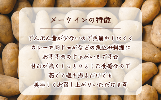 【予約受付中！10月初週発送予定】＜乙部町産メークイン　小玉10kg＞北海道　道産　乙部町産　新じゃが　芋　いも　数量限定　ホクホク　しっとり　食べやすい　小玉サイズ　じゃがバター　塩煮　煮崩れしにくい