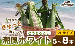 ［2027年発送 先行予約 夏の味覚］潮風ホワイト 2Lサイズ 5～8本 1セット とうもろこし トウモロコシ 白 コーン とうもろこし BBQ 焼き肉 白浜町 304018_ET04