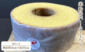 米粉のバームクーヘンMサイズ【 お菓子 神奈川県 小田原市 】 142069_GD002