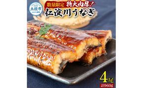 【数量限定】仁淀川特大肉厚うなぎ4尾セット タレ付き 