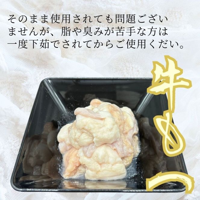 もつ鍋 訳ありの〆なし!!ちゃんぽん麺なし!醤油スープのもつ鍋セット 40人前 モツ鍋 訳あり 訳アリ