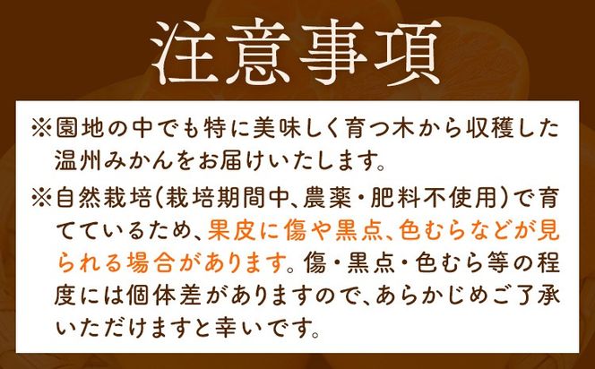 温州みかん 選べる内容量 2kg 3kg 5kg 池田農園《11月上旬-12月末頃出荷》熊本県 玉名郡 玉東町 みかん ミカン 柑橘 フルーツ 果物 自然栽培 栽培期間中農薬・肥料不使用---gkt_ikd_7_2kg---