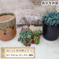 【届いてすぐ楽しめる！】多肉を育ててみたい方へのセット商品寄せ植えキット（鉢付）【A】 ・苗・土・伊賀焼オリジナル陶器鉢2.5号 1セット 多肉植物 家庭菜園 伊賀焼 陶器鉢 土 苗 初心者 簡単 色鮮やか 三重県 名張市
