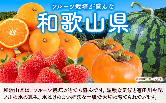 【発送月固定定期便】フルーツセット 果物セット(すいか 桃 ひらたねなし柿 みかん)【全4回】 魚鶴商店《6月中旬-1月上旬頃出荷》 和歌山県 日高川町 すいか 小玉 ひとりじめ 桃 平核無柿 柿 化粧箱入 ギフト 果物 フルーツ 旬 送料無料 定期便---wshg_uot110tei_26_49000_681012y4---