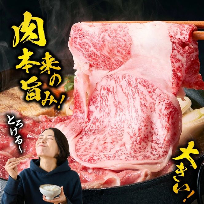 【A5等級宮崎牛】リブローススライス400g（小林市産 牛肉 和牛 特選 贅沢 厳選和牛 ブランド牛 ギフト 贈答）