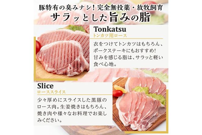 a830 《数量限定》月ノ灯牧場直送！完全無投薬・放牧の鹿児島県産黒豚ロースセット(合計1kg・トンカツ用500g・スライス500g)【pig village company】冷凍 とんかつ 豚カツ ロース カツ 豚ロース 生姜焼き 放牧飼育 セット